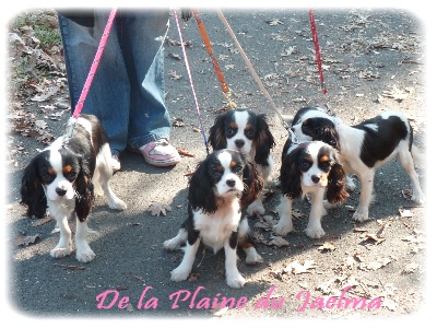 de la plaine du Jaelma - En promenade!!!