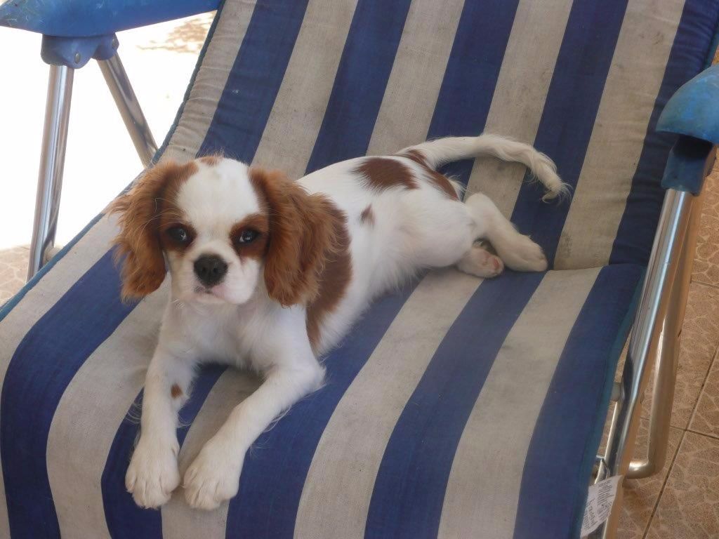 de la plaine du Jaelma - photo de mimie reçut!