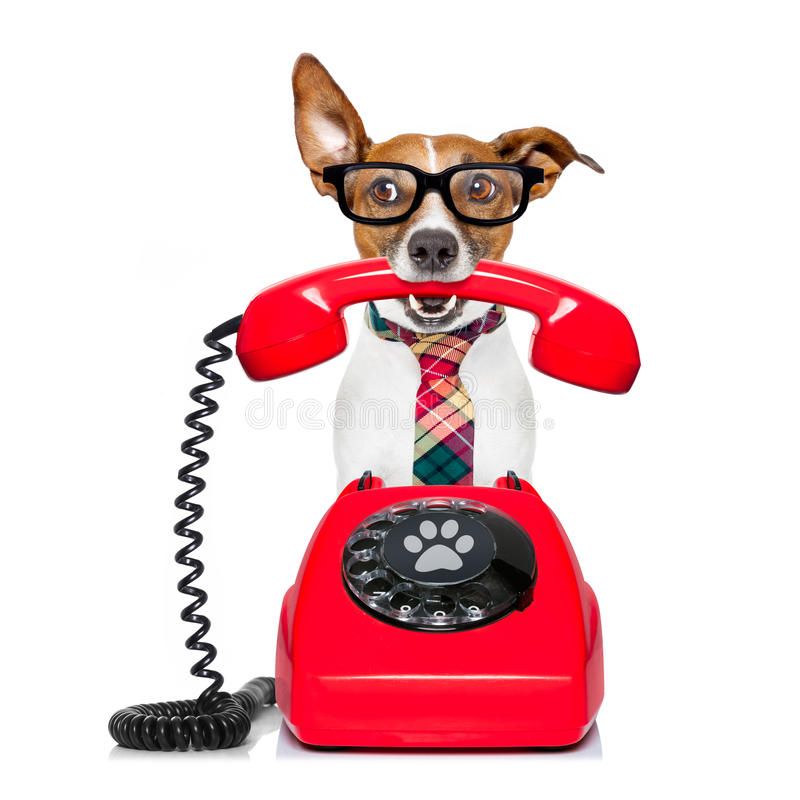 de la plaine du Jaelma - uniquement par telephone